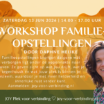13 juni 2026: Workshop familieopstellingen